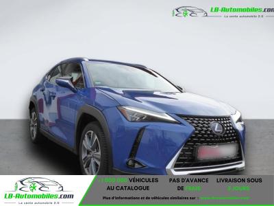 Lexus UX 300e