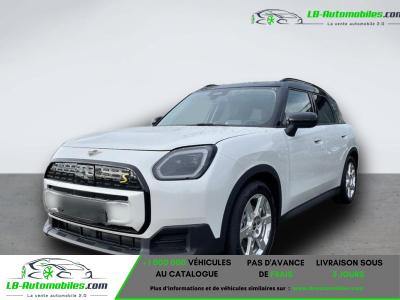 Mini Countryman 313 ch