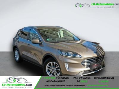 Ford Kuga 2.0 EcoBlue 150 mHEV BVM